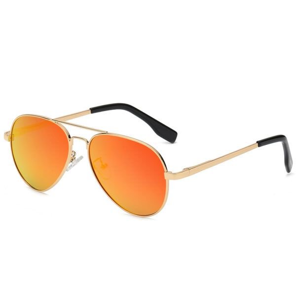 Aviator Punk Sunnies