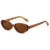 Ignite Sunnies